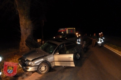 11. November 2010: Betrunkener Rentner baut Unfall - ein Toter