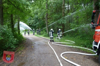 Waldbrandübung