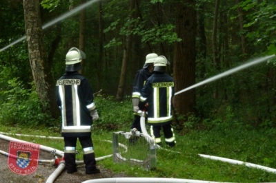 Waldbrandübung